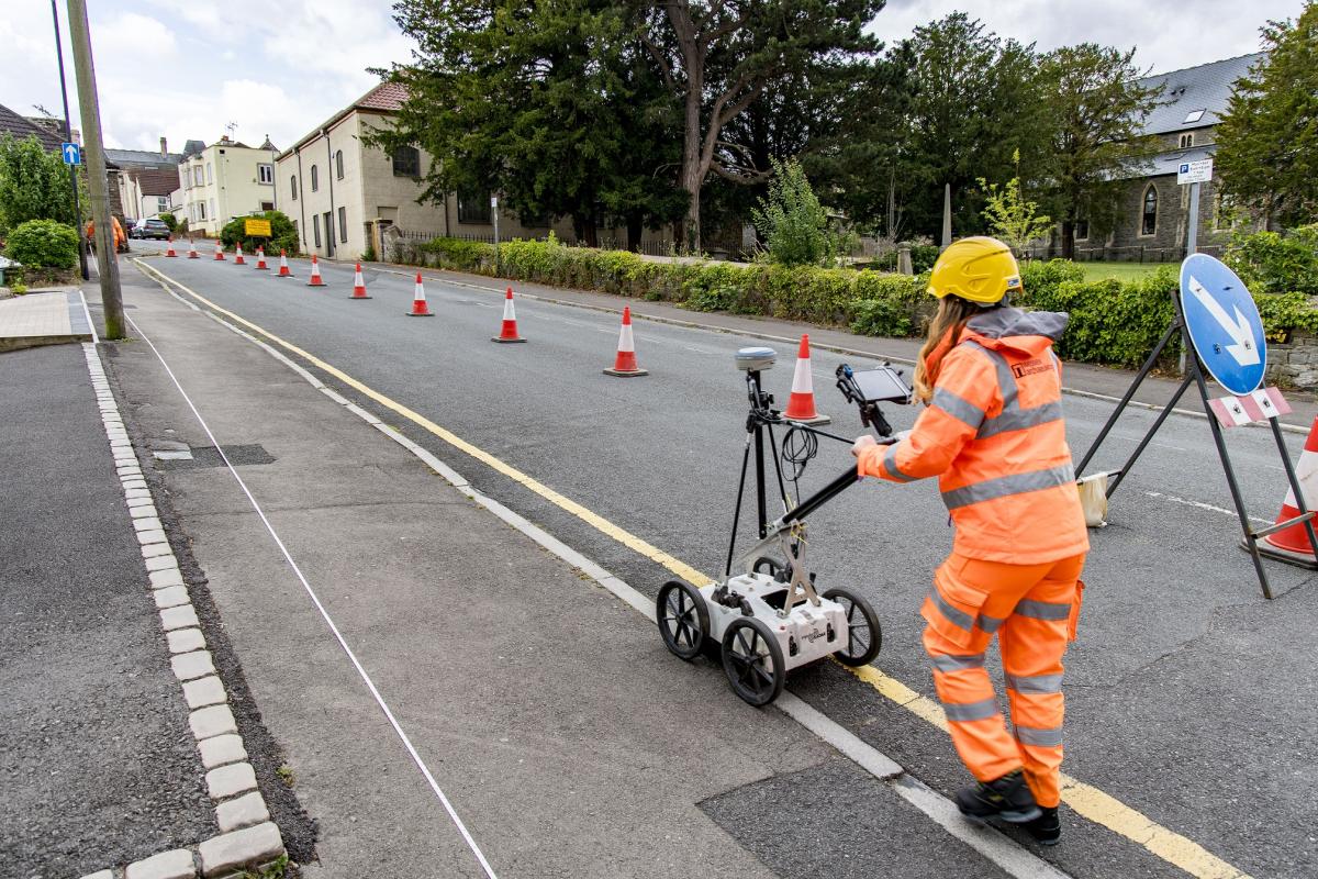 Kingswood elephant The 130 yearold mystery of Britain’s buried